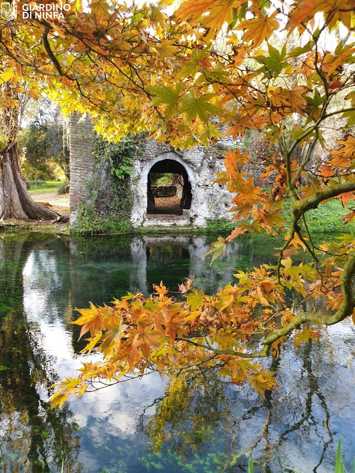 Blog – Giardini dal Mondo – Giardino di Ninfa Blog - Giardini dal Mondo - Giardino di Ninfa - credits Foto Giardino di Ninfa/Archivio Fondazione Roffredo Caetani