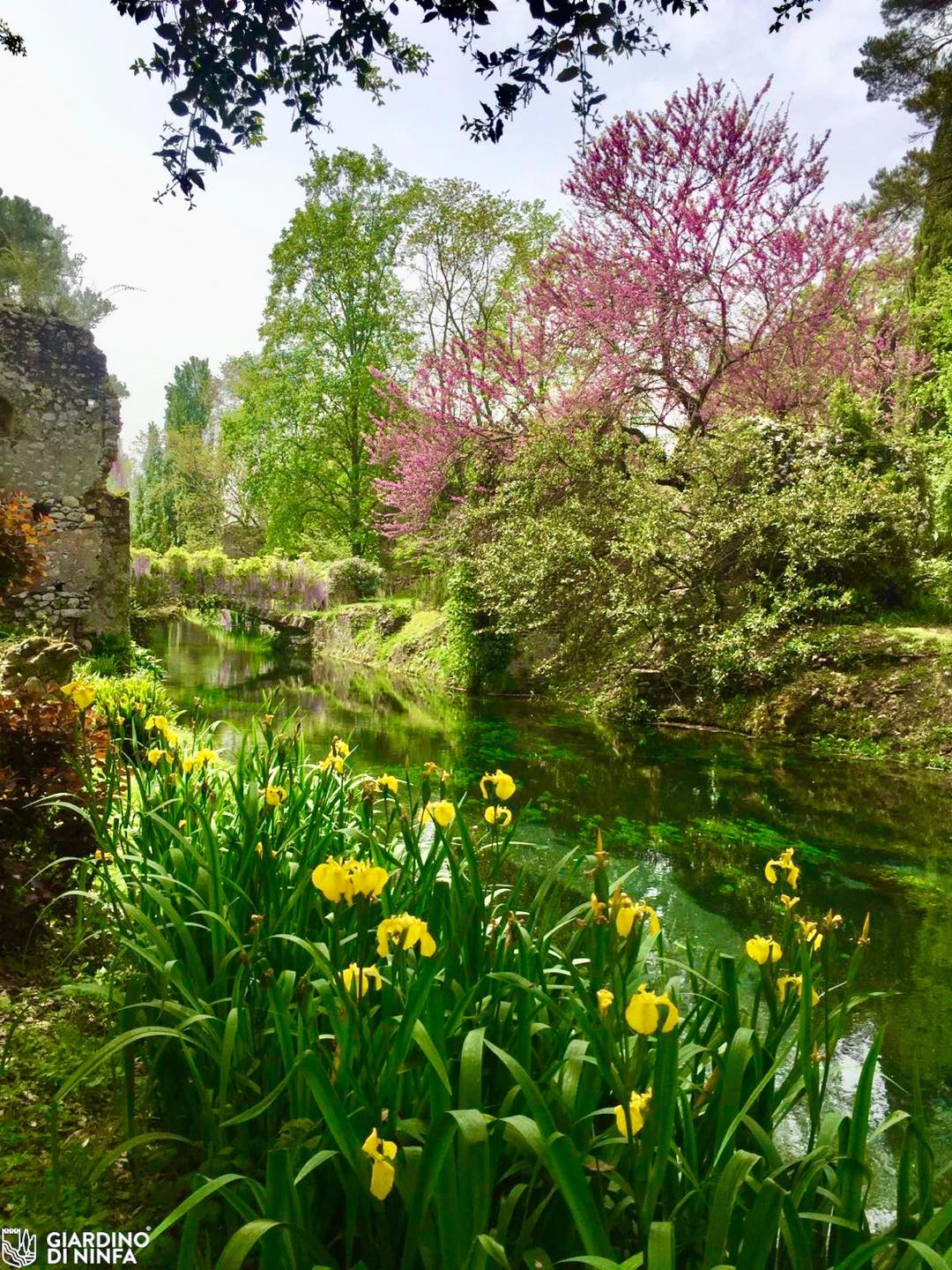 Blog – Giardini dal Mondo – Giardino di Ninfa Blog - Giardini dal Mondo - Giardino di Ninfa - credits Foto Giardino di Ninfa/Archivio Fondazione Roffredo Caetani