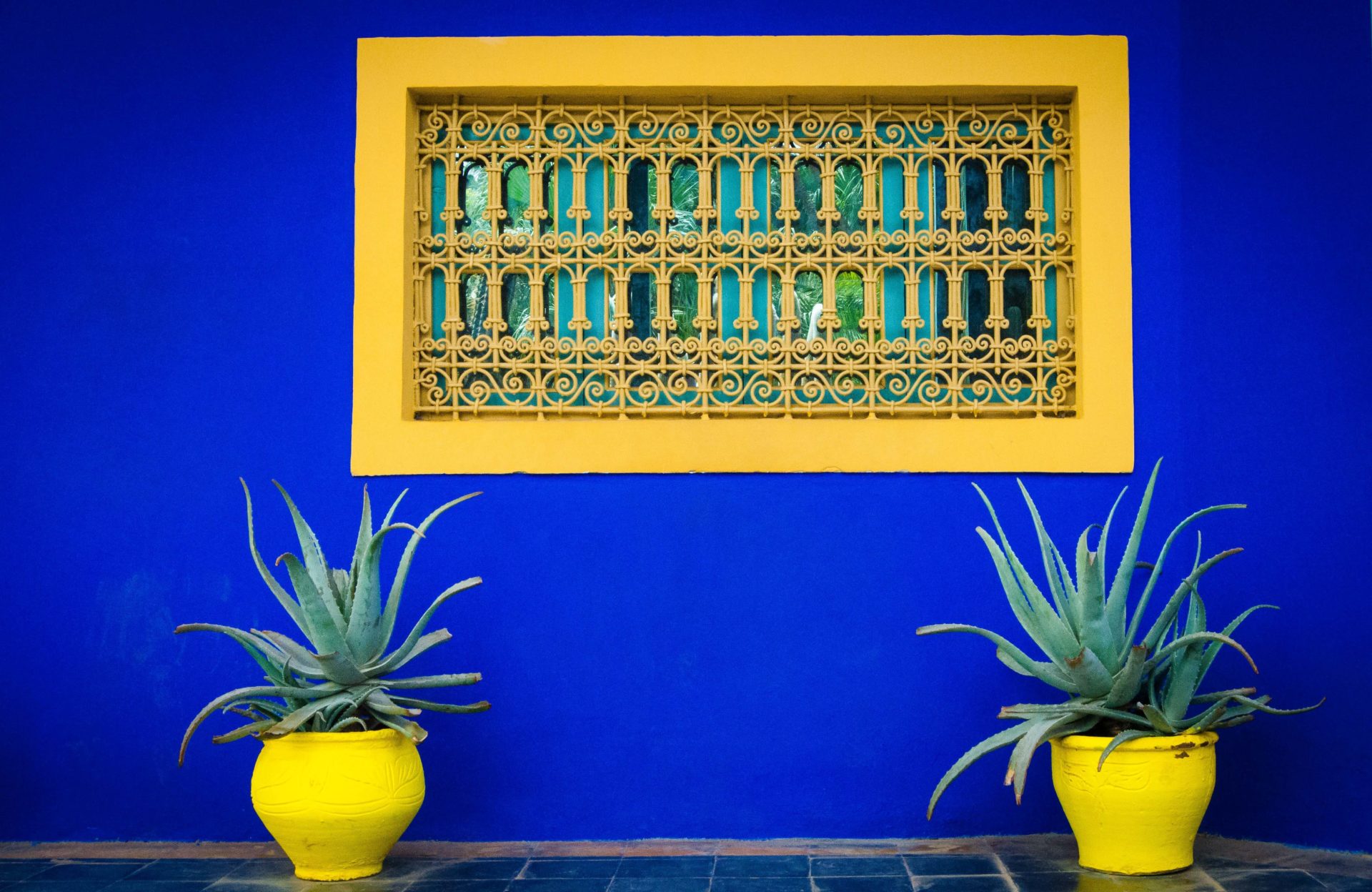 Blog – Giardini dal Mondo – Le Jardin Majorelle Blog - Giardini dal Mondo - Le Jardin Majorelle