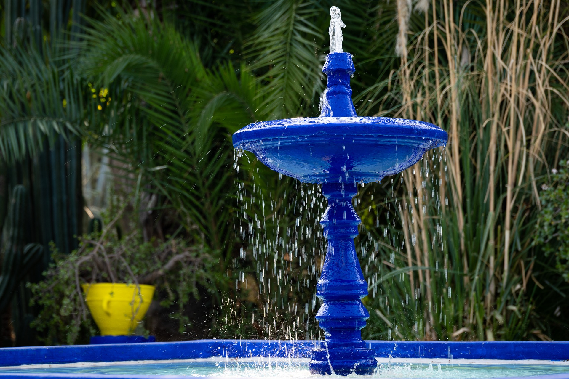 Blog – Giardini dal Mondo – Le Jardin Majorelle Blog - Giardini dal Mondo - Le Jardin Majorelle