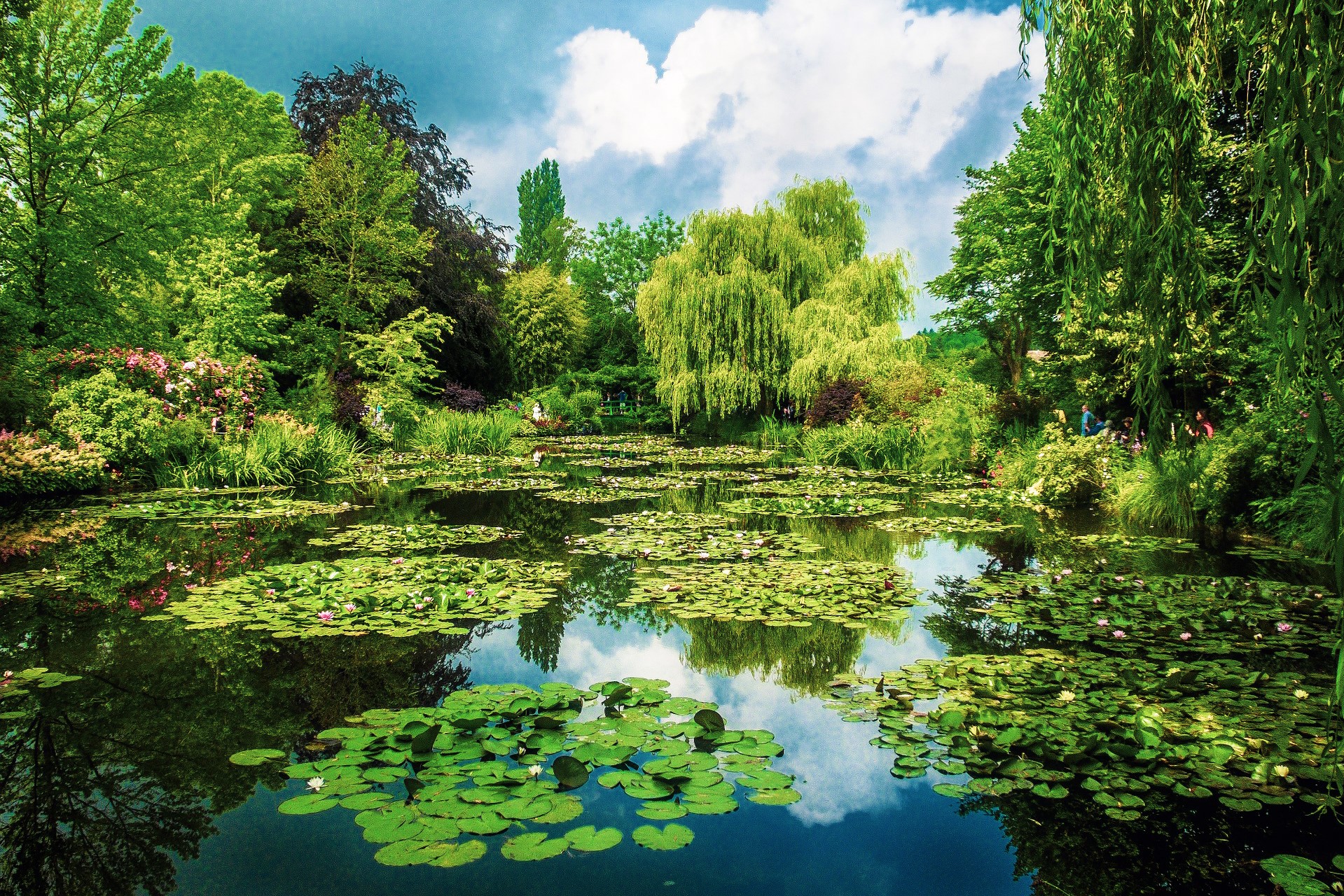Blog – Giardini dal Mondo – Giardino di Monet Blog - Giardini dal Mondo - Giardino di Monet
