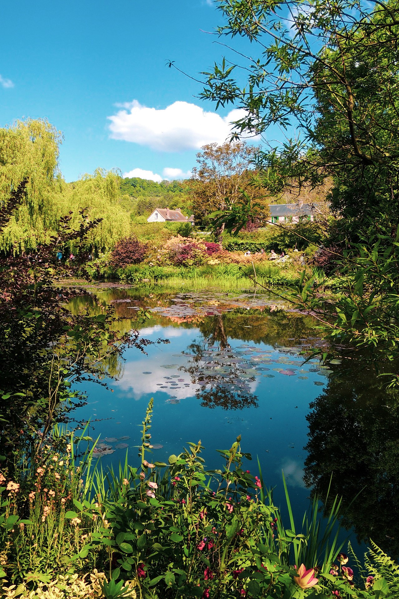 Blog – Giardini dal Mondo – Giardino di Monet Blog - Giardini dal Mondo - Giardino di Monet