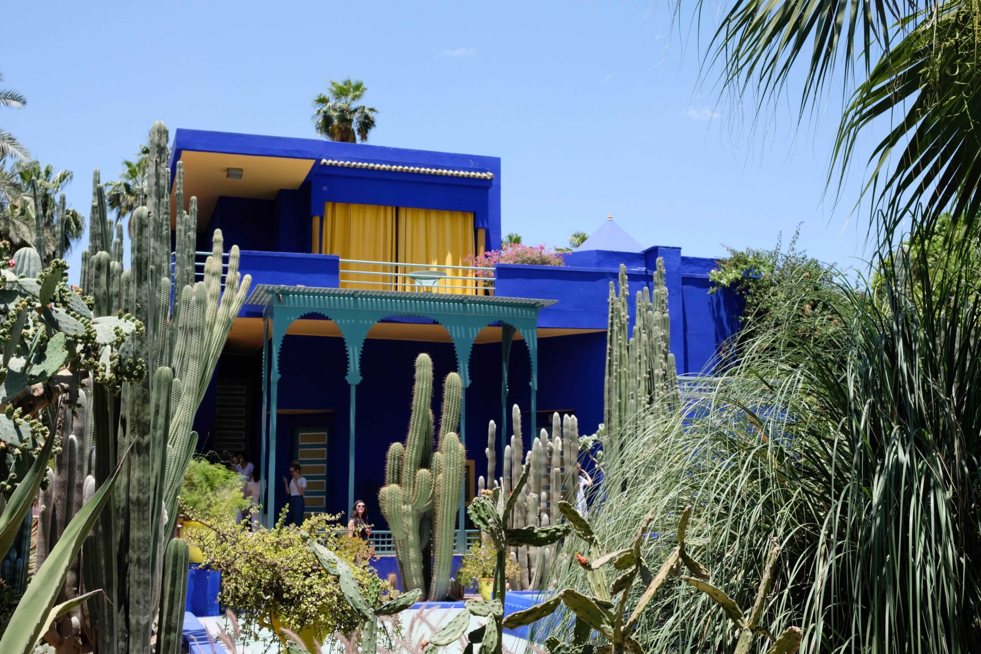 Blog – Giardini dal Mondo – Le Jardin Majorelle Blog - Giardini dal Mondo - Le Jardin Majorelle