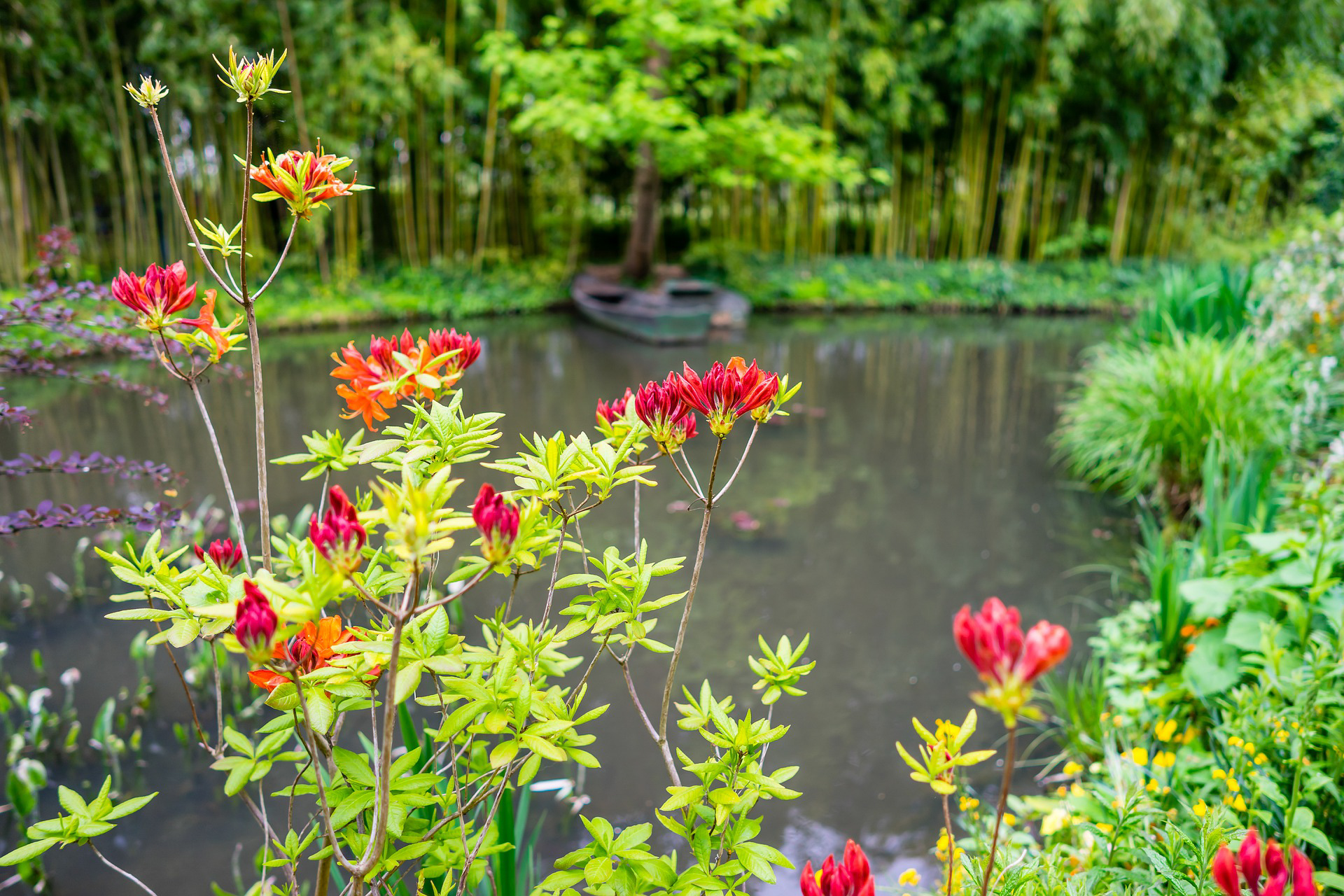 Blog – Giardini dal Mondo – Giardino di Monet Blog - Giardini dal Mondo - Giardino di Monet