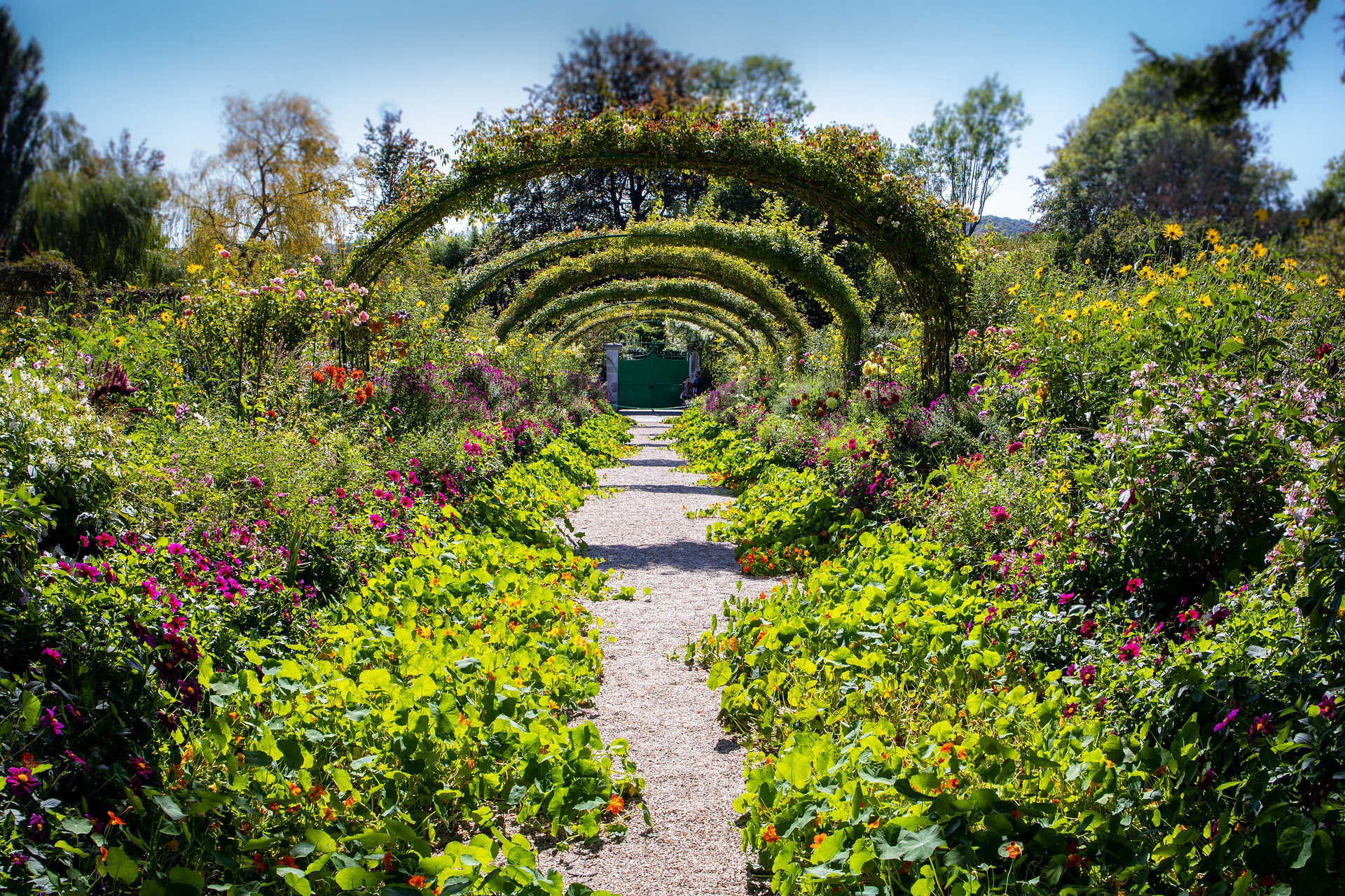 Blog – Giardini dal Mondo – Giardino di Monet Blog - Giardini dal Mondo - Giardino di Monet