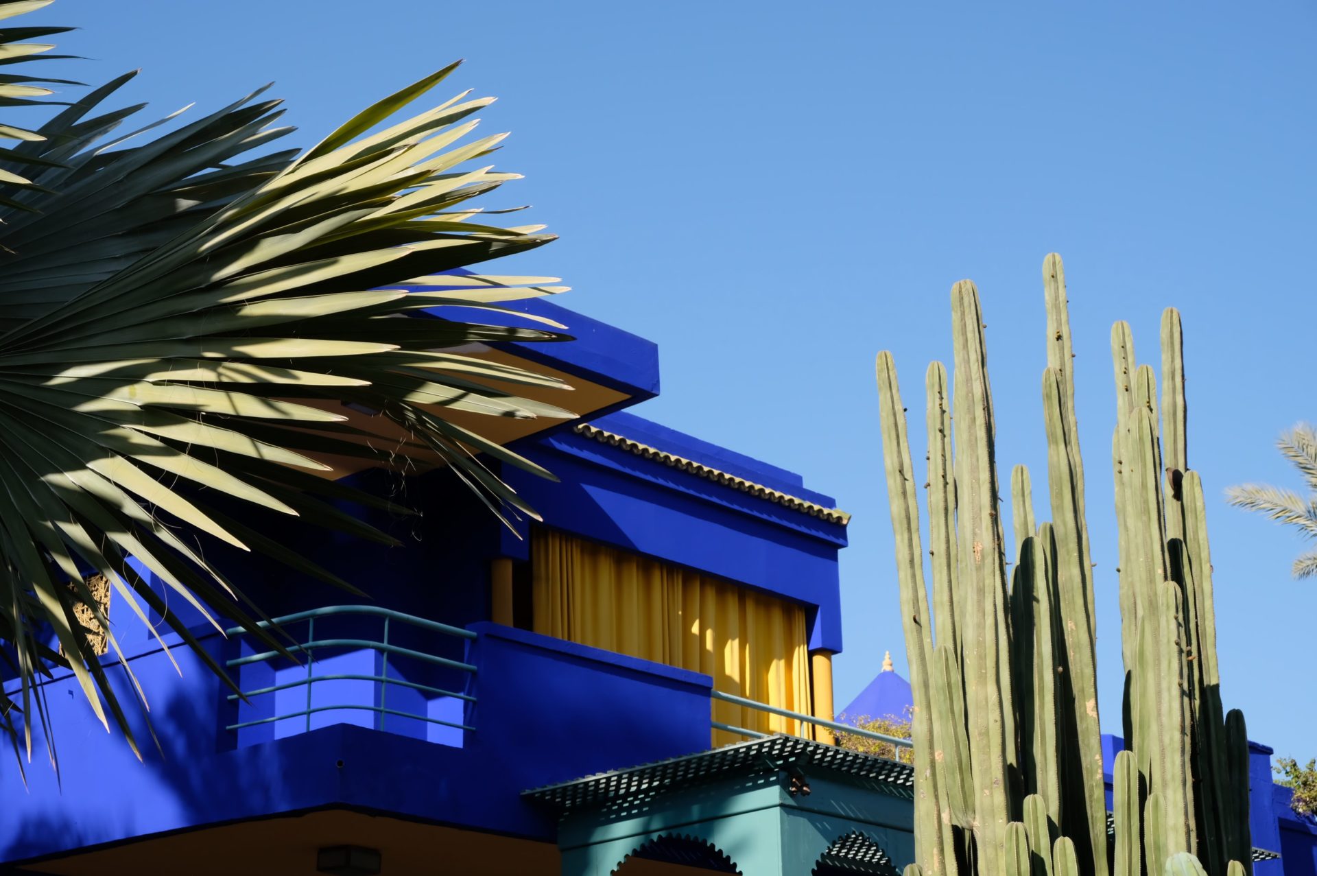 Blog – Giardini dal Mondo – Le Jardin Majorelle Blog - Giardini dal Mondo - Le Jardin Majorelle
