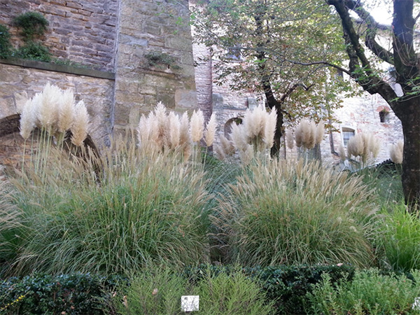 Blog - Giardini d'Inverno - Proposte