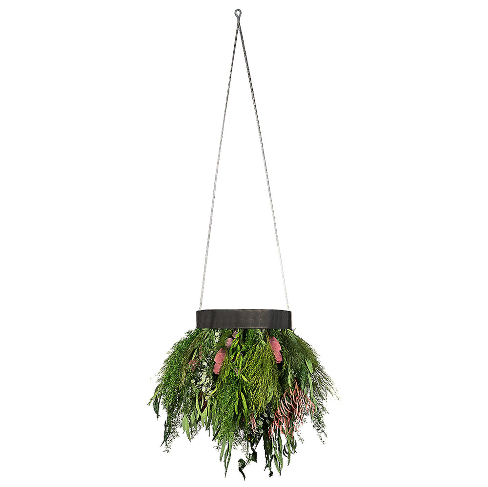 Foto-Up-&-Down-Wild-Circle-da-30-prodotto-da-Verde-Passione-Foto-3