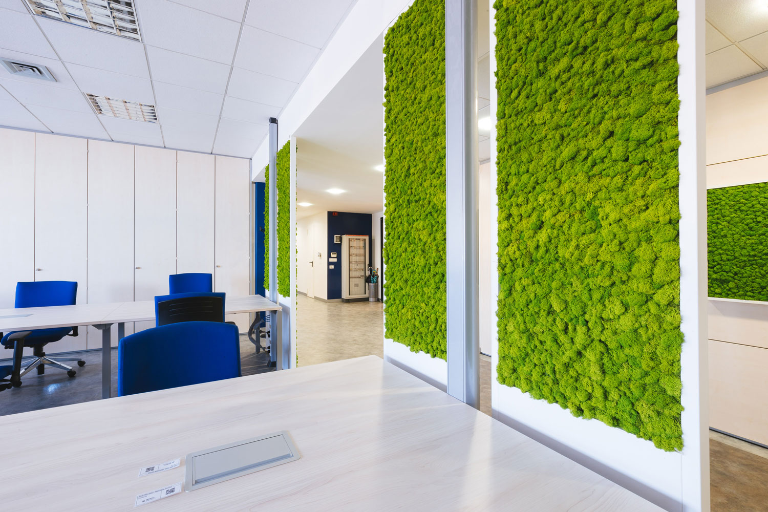 Getinge-Italia-S.r.l-by-Verde-Passione_3 Uffici – Getinge Italia S.r.l. – Set di Pareti e Quadri in Moss stabilizzato modello Nordic Plus di diverse misure – by Verde Passione