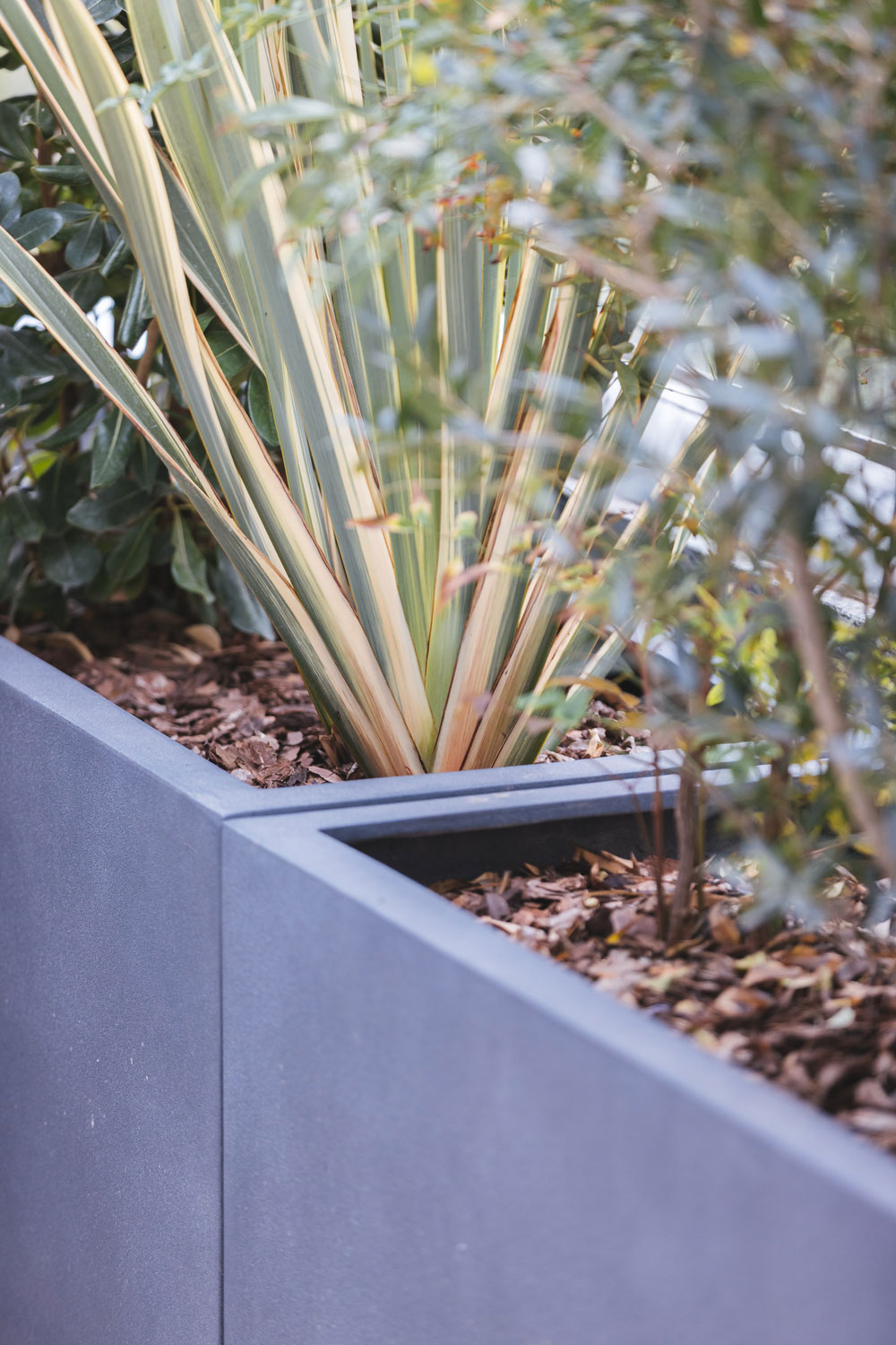 Terrazzi – Abitazione Privata Cologno Monzese – by Verde Passione Terrazzi - Abitazione Privata Cologno Monzese - Progettazione spazi verdi esterni, piante naturali in vaso- by Verde Passione