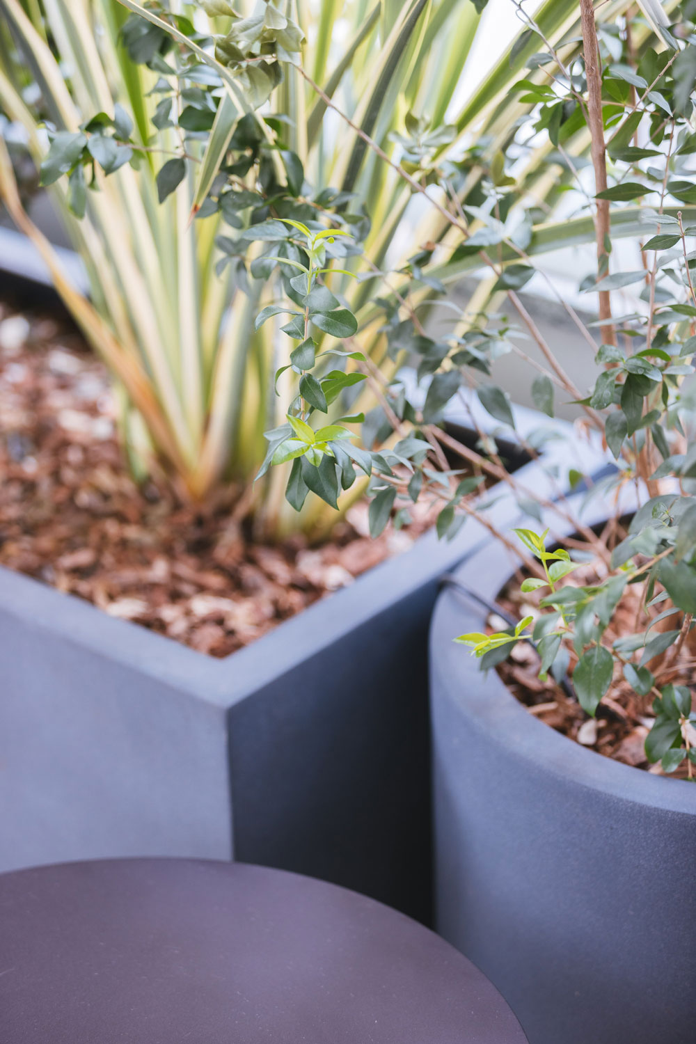 Terrazzi – Abitazione Privata Cologno Monzese – by Verde Passione Terrazzi - Abitazione Privata Cologno Monzese - Progettazione spazi verdi esterni, piante naturali in vaso- by Verde Passione