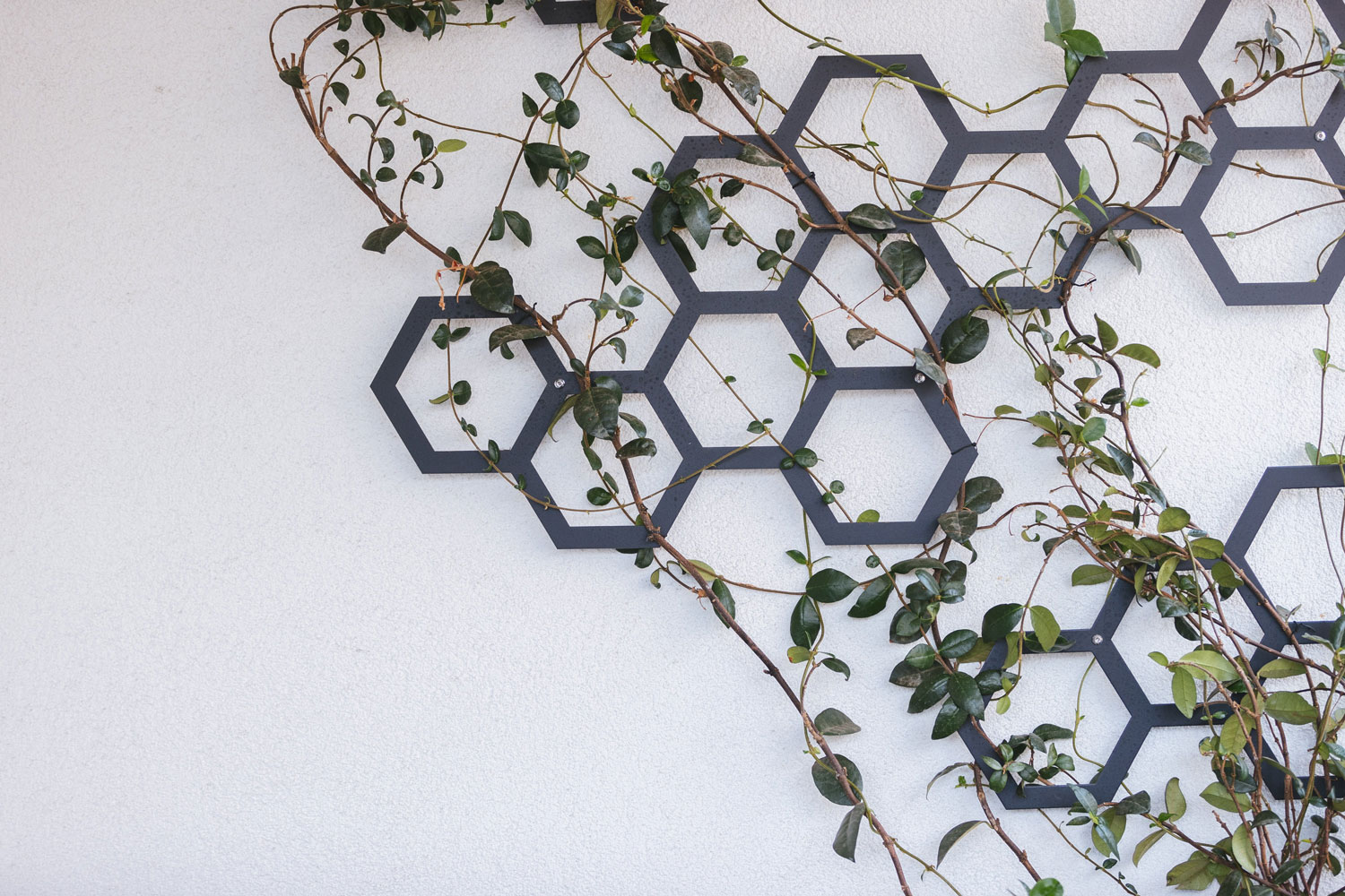 Terrazzi – Abitazione Privata Cologno Monzese – by Verde Passione Terrazzi - Abitazione Privata Cologno Monzese - Progettazione spazi verdi esterni, piante naturali in vaso- by Verde Passione