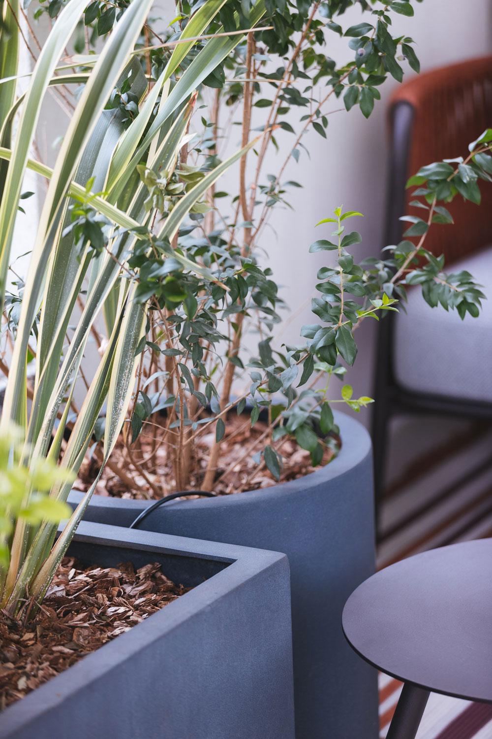 Terrazzi – Abitazione Privata Cologno Monzese – by Verde Passione Terrazzi - Abitazione Privata Cologno Monzese - Progettazione spazi verdi esterni, piante naturali in vaso- by Verde Passione