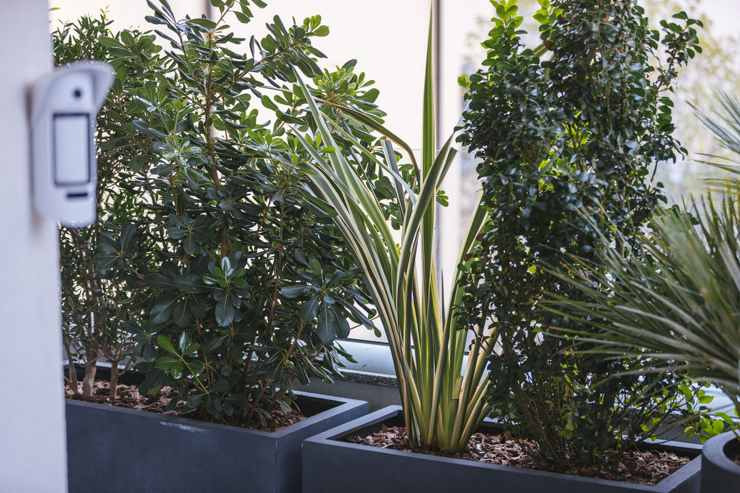 Terrazzi – Abitazione Privata Cologno Monzese – by Verde Passione Terrazzi - Abitazione Privata Cologno Monzese - Progettazione spazi verdi esterni, piante naturali in vaso- by Verde Passione