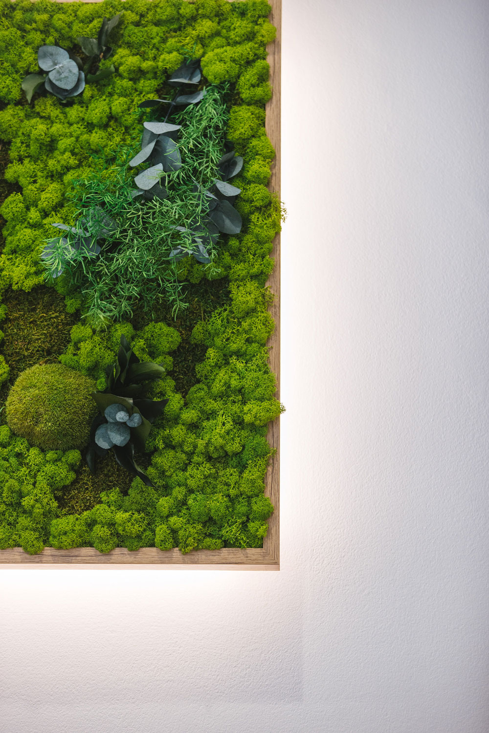 Ho.re.ca – Hotel FIVE Milano – by Verde Passione Ho.re.ca - Hotel Five Milano - Parete in Moss Modello Jungle Wall con Logo Retroilluminato e Quadro in Moss Modello Jungle Frame custom con retroilluminazione - by Verde Passione