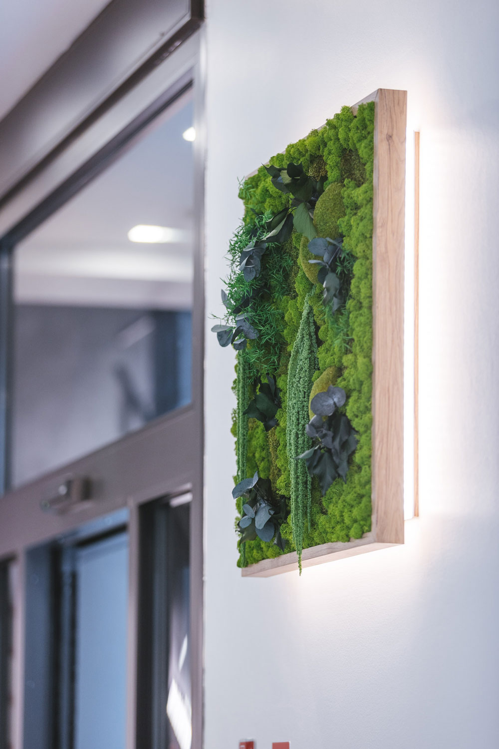 Ho.re.ca – Hotel FIVE Milano – by Verde Passione Ho.re.ca - Hotel Five Milano - Parete in Moss Modello Jungle Wall con Logo Retroilluminato e Quadro in Moss Modello Jungle Frame custom con retroilluminazione - by Verde Passione
