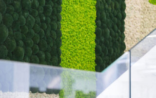 Showroom – Cereser Marmi S.p.A. – Parete in Moss Custom, mix modelli Nordic Plus e Dune Moss – by Verde Passione