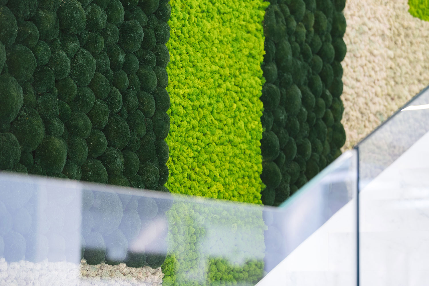 Showroom – Cereser Marmi S.p.A. – by Verde Passione Showroom – Cereser Marmi S.p.A. – Parete in Moss Custom, mix modelli Nordic Plus e Dune Moss – by Verde Passione