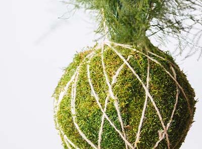 Elemento decorativo di ispirazione giapponese Kokedama by Verde Passione