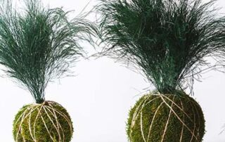 Elemento decorativo di ispirazione giapponese Kokedama by Verde Passione