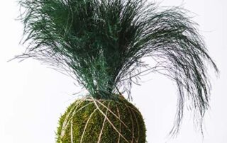 Elemento decorativo di ispirazione giapponese Kokedama by Verde Passione