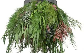 Elemento sospeso in ferro con fronde naturali stabilizzate