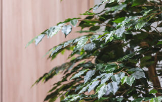 Corporate - Amatrans Snc Concorezzo - Progetto di Green Interior Design: Logo Retroilluminato, Quadri in Moss Nordic Circle Frame, Planisfero in Moss e Piante Semi-Naturali - by Verde Passione