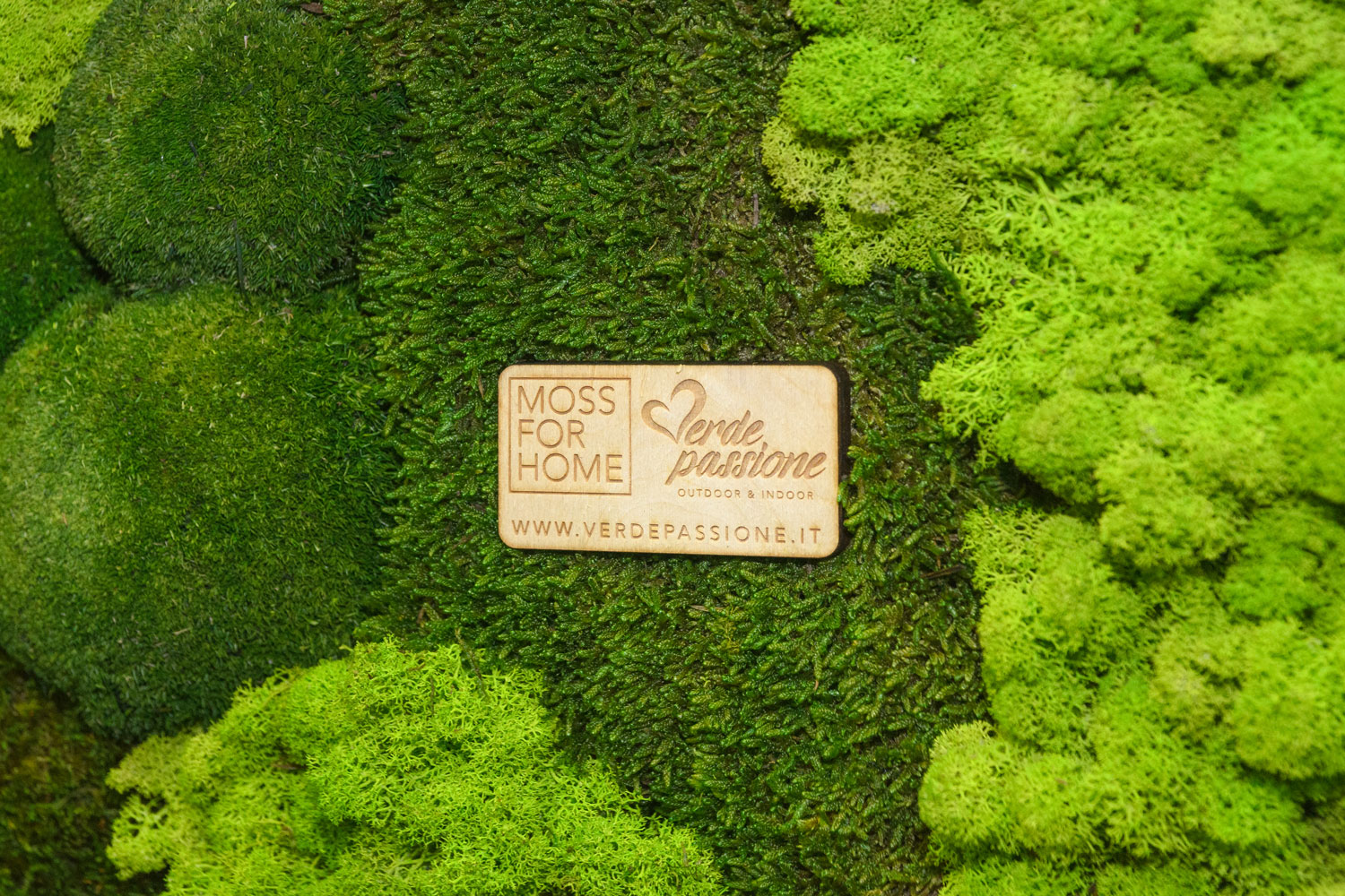 Corporate – Bonduelle Italia – by Verde Passione Corporate - Bonduelle Italia - Parete in Moss Modello Nordica con scritte applicate (Logo Lineare) e Forest Wall - by Verde Passione