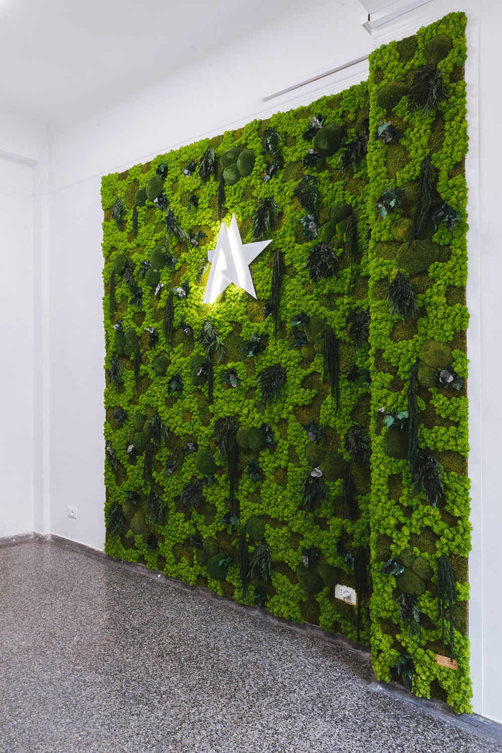 Corporate – Capio Srl – by Verde Passione Corporate - Capio Srl - Logo con illuminazione integrata su Parete in Moss Modello Giungla e trittico di Quadri in Moss modello Giungla - by Verde Passione
