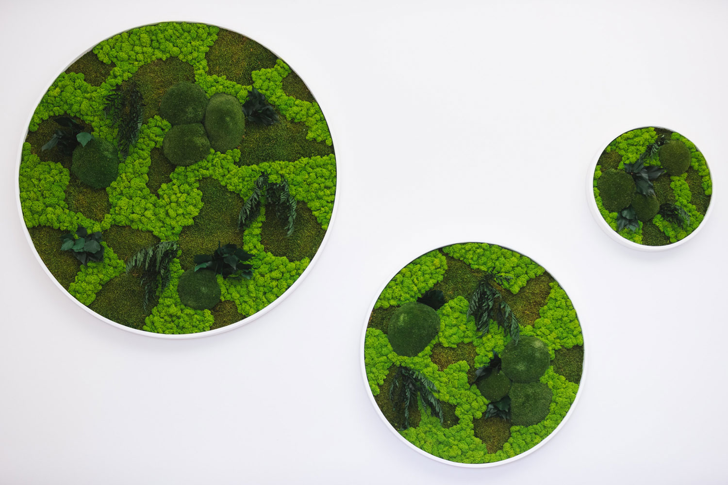 Corporate – Capio Srl – by Verde Passione Corporate - Capio Srl - Logo con illuminazione integrata su Parete in Moss Modello Giungla e trittico di Quadri in Moss Jungle Circle Frame - by Verde Passione