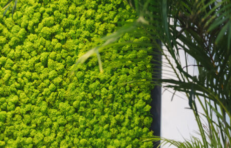 Corporate - E-work - Logo con illuminazione integrata su Parete in Moss Modello Nordica - by Verde Passione