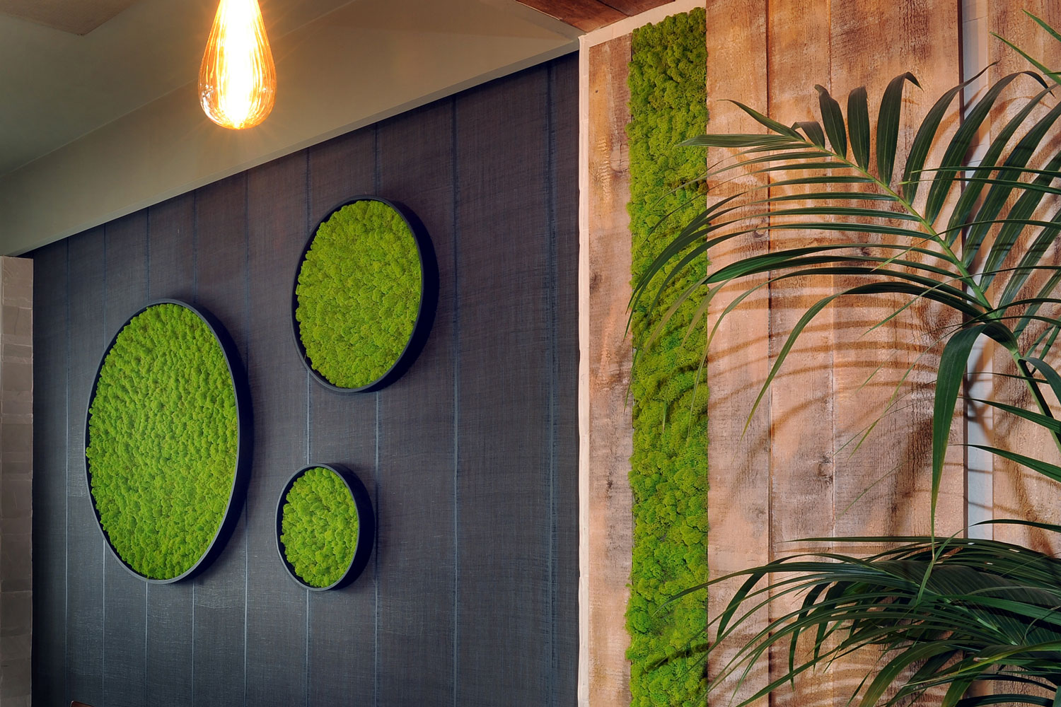 Ho.re.ca – Ristorante Mediterraneum Milano – by Verde Passione Ho.re.ca – Ristorante Mediterraneum Milano – Pareti in Moss Modello Nordica e Quadri in Moss Modello Nordic Frame Circle – by Verde Passione