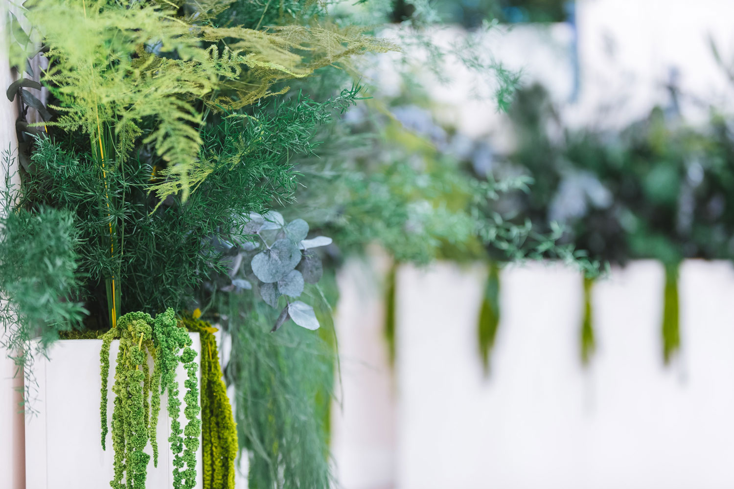 Beauty&SPA – La CLINIC Milano – Piante Semi-Naturali e Fioriere Modello Wild Jungle Floor – by Verde Passione Beauty&SPA - La CLINIC Milano - Piante Semi-Naturali e Fioriere Modello Wild Jungle Floor - by Verde Passione