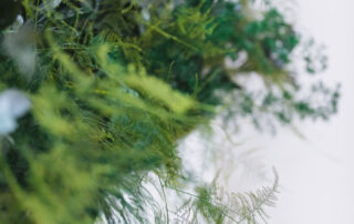 Beauty&SPA - La CLINIC Milano - Piante Semi-Naturali e Fioriere Modello Wild Jungle Floor - by Verde Passione