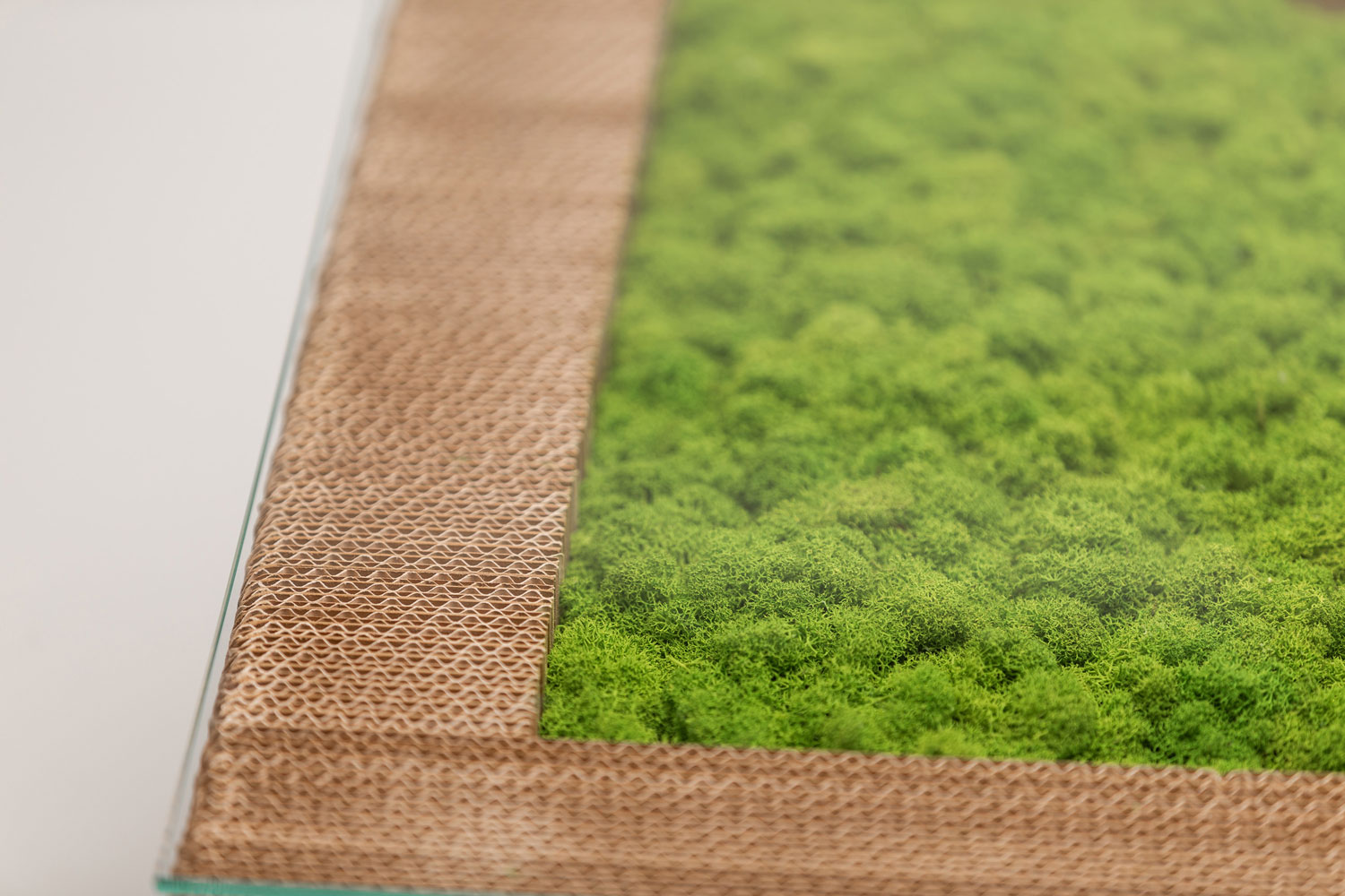 Linea RiciclaMoss! – Tavolino London Green Passion – by Verde Passione in collaborazione con Sekkei Linea RiciclaMoss! - Tavolino da caffè in cartone sostenibile con applicazioni di moss stabilizzato Nordic Plus - by Verde Passione in collaborazione con Sekkei