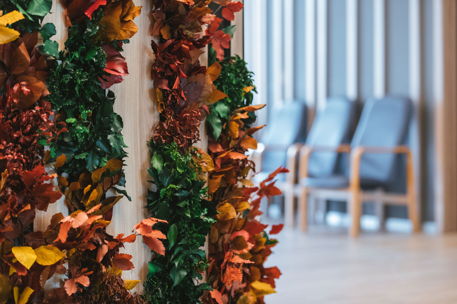 Medical – Fondazione Honegger R.S.A. ONLUS – by Verde Passione in collaborazione con JDP Architects Medical – Fondazione Honegger R.S.A. ONLUS – Parete in Moss modello Foliage Wall Custom e prato Grass Stabilizzato – by Verde Passione in collaborazione con JDP Architects