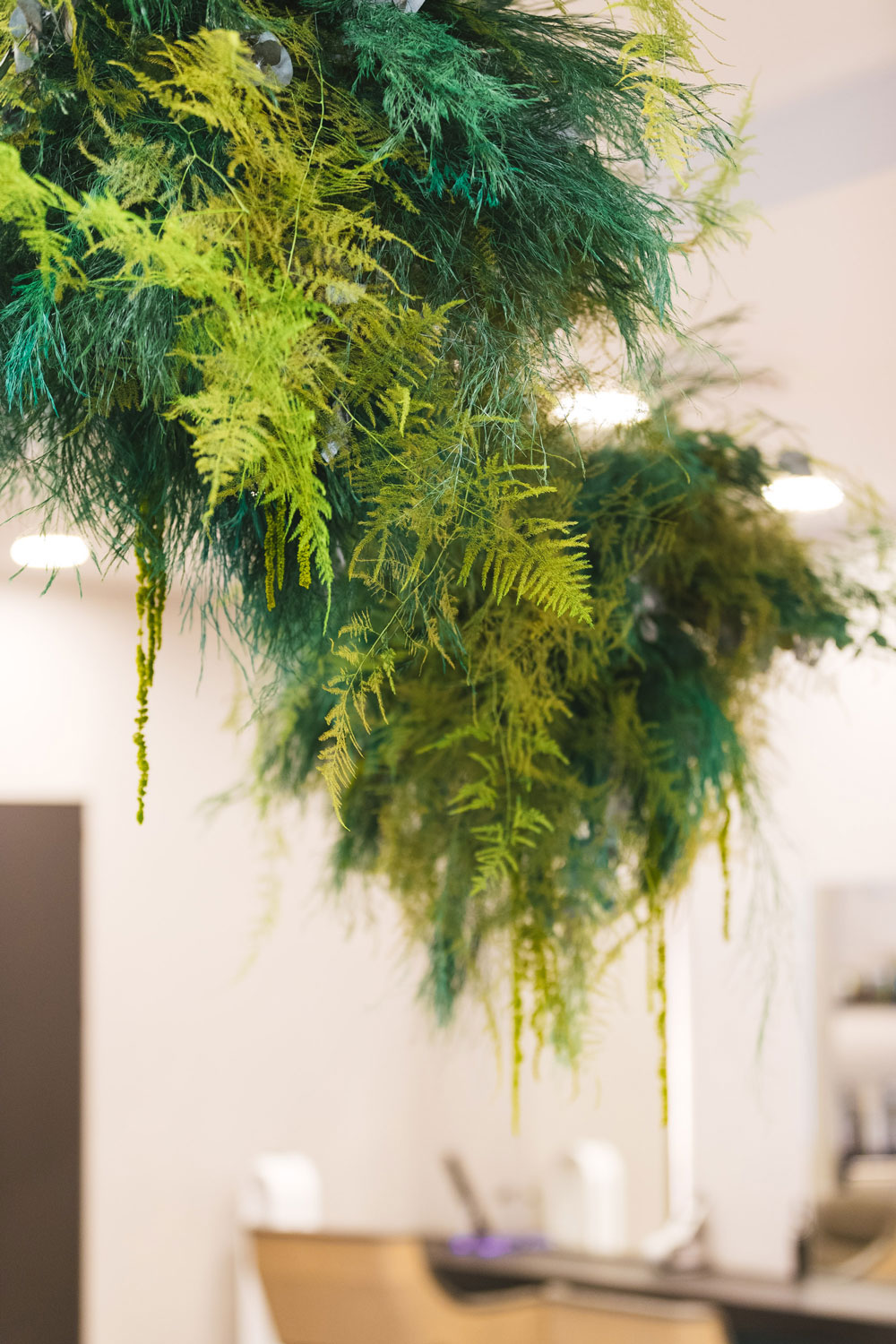 Beauty&SPA – Toni&Guy Milano – by Verde Passione in collaborazione con Chiara Silvestri – immagine Indoor Beauty&SPA - Toni&Guy Milano - Fronde Stabilizzate a soffitto modello Sfera Vegetale - by Verde Passione in collaborazione con Chiara Silvestri - immagine Indoor