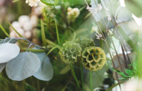 Office – Loconte&Partners – Fioriere di fronde stabilizzate modello Flora – by Verde Passione in collaborazione con arch. Marco Paolelli