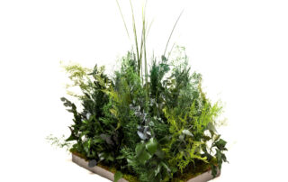 Wild Floor Composizioni di fronde naturali stabilizzate By Verde passione