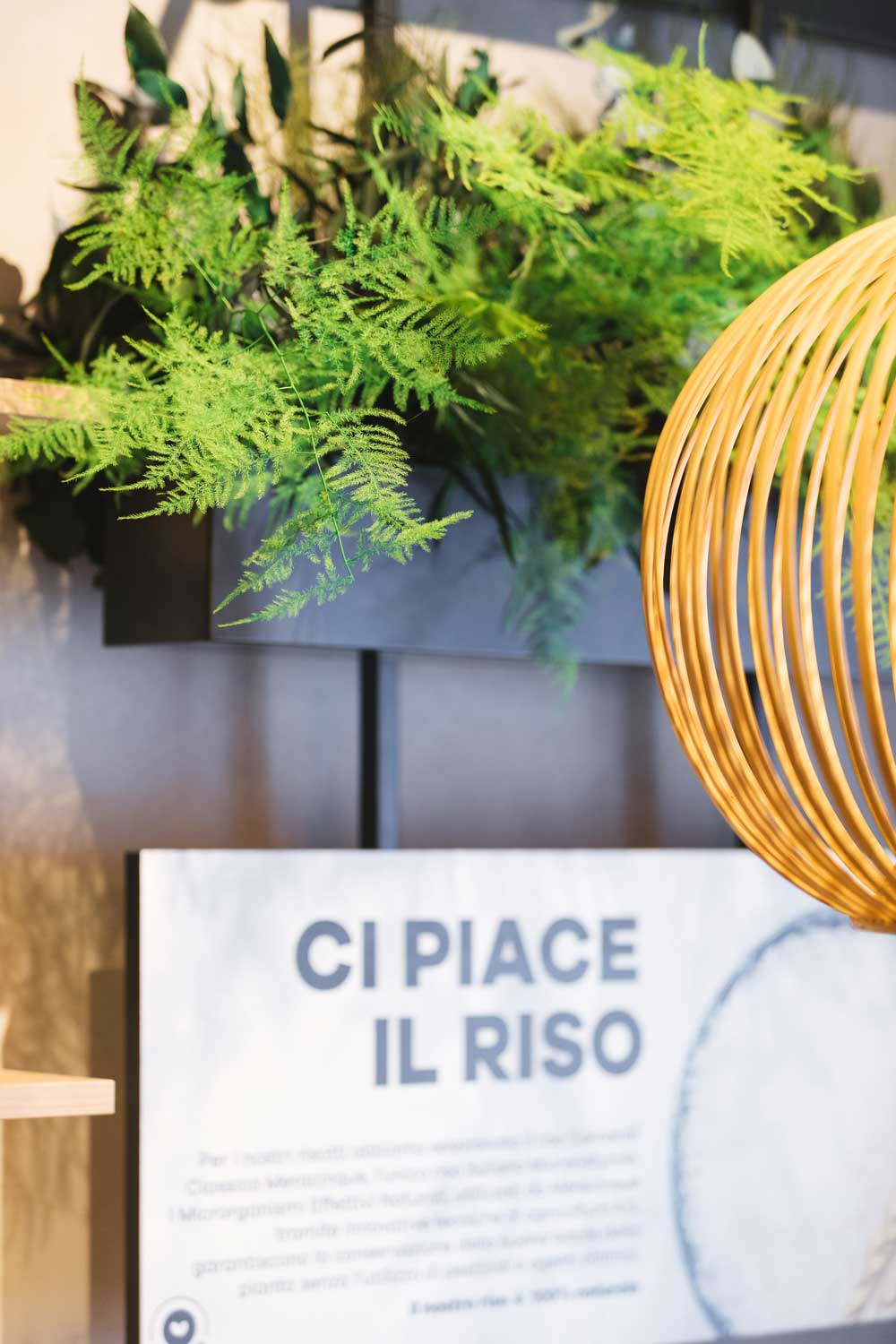 Ho.re.ca – CiPiace Milano – Fioriere Giungla Ho.re.ca – CiPiace Milano – Fioriere di Fronde stabilizzate a soffitto modello Giungla – by Verde Passione
