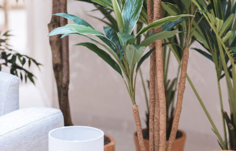 Retail – Alviero Martini Milano – by Verde Passione Angolo green con Piante Semi-Naturali stabilizzate - Alviero Martini Milano