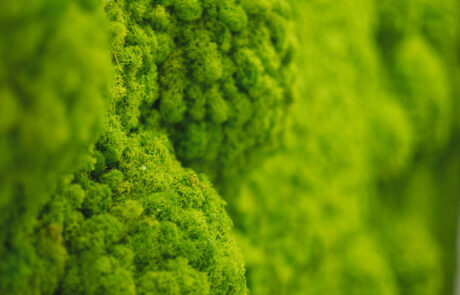 Medical – Phyto Performance Italia – by Verde Passione Pareti Nordic Drop Wall, Nordic Drop Set e Logo in Moss per Phyto Performance Italia - Padova