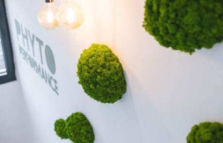 Medical – Phyto Performance Italia – by Verde Passione Pareti Nordic Drop Wall, Nordic Drop Set e Logo in Moss per Phyto Performance Italia - Padova