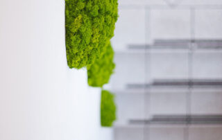 Pareti Nordic Drop Wall, Nordic Drop Set e Logo in Moss per Phyto Performance Italia - Padova