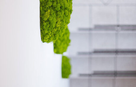 Medical – Phyto Performance Italia – by Verde Passione Pareti Nordic Drop Wall, Nordic Drop Set e Logo in Moss per Phyto Performance Italia - Padova