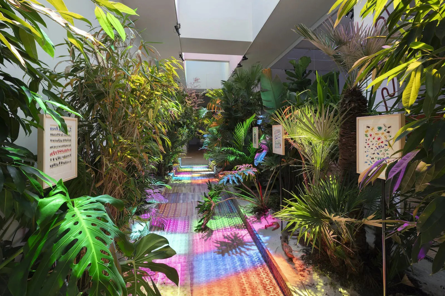 Blog – Triennale Milano – Siamo Foresta, opere sulla foresta amazzonica Blog - Triennale Milano - Siamo Foresta, opere sulla foresta amazzonica