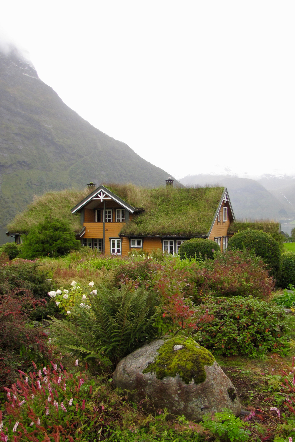 Blog - Sostenibilità urbana - Tetti Green