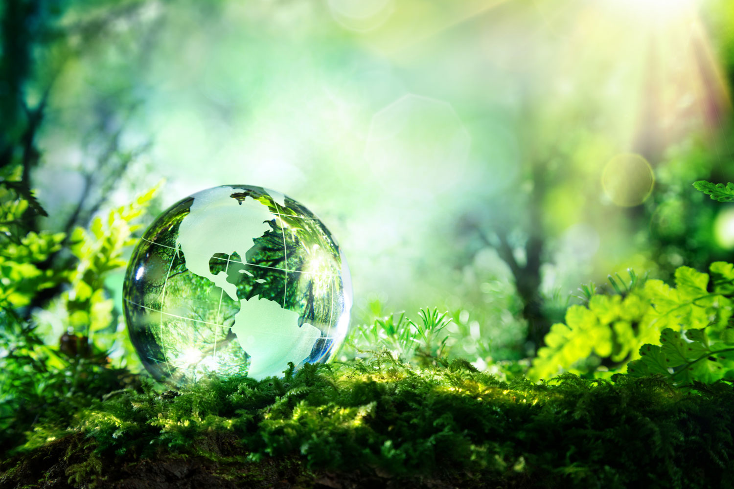Blog - Green Job - Il cambiamento climatico