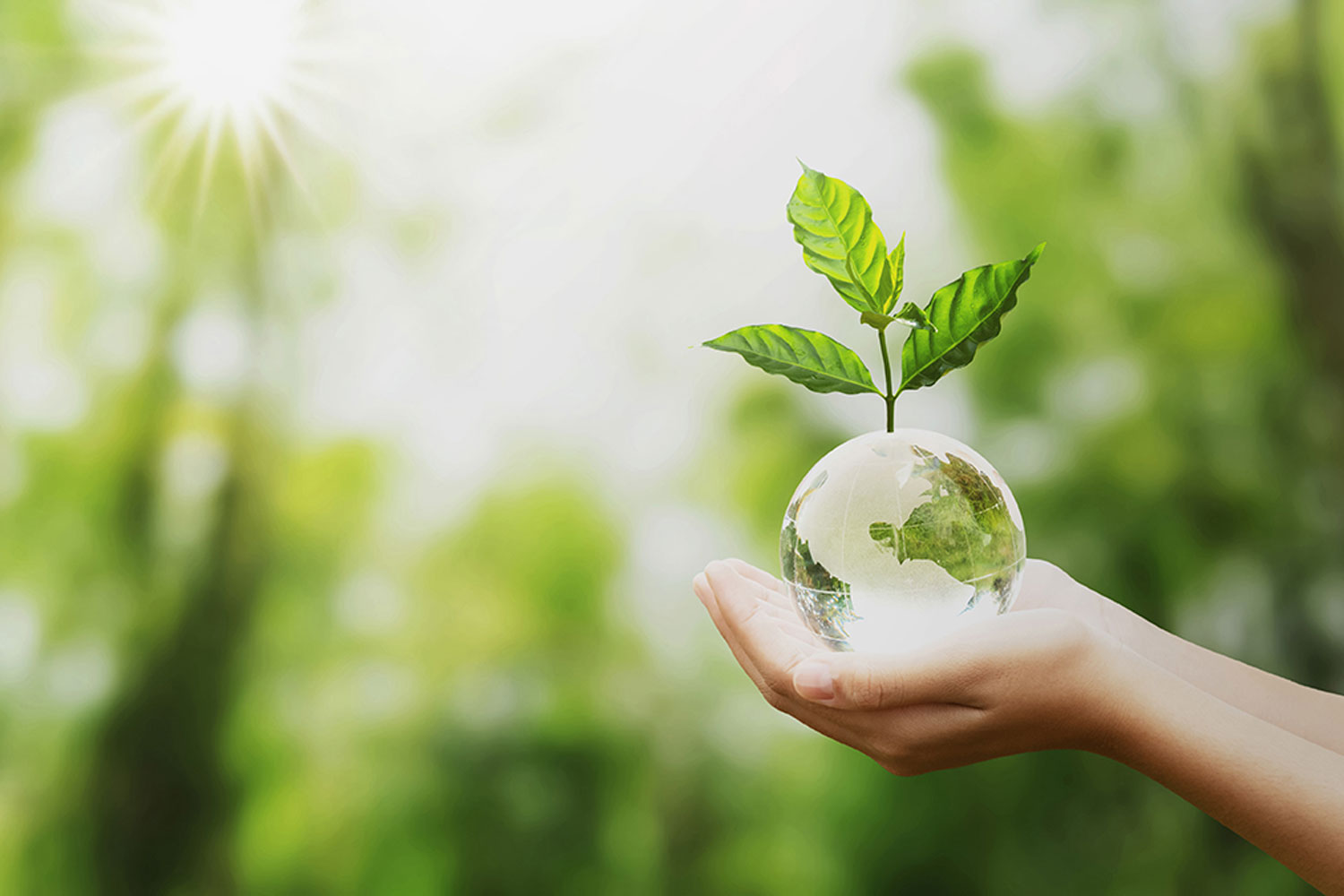 Blog - Green Job - Il cambiamento climatico