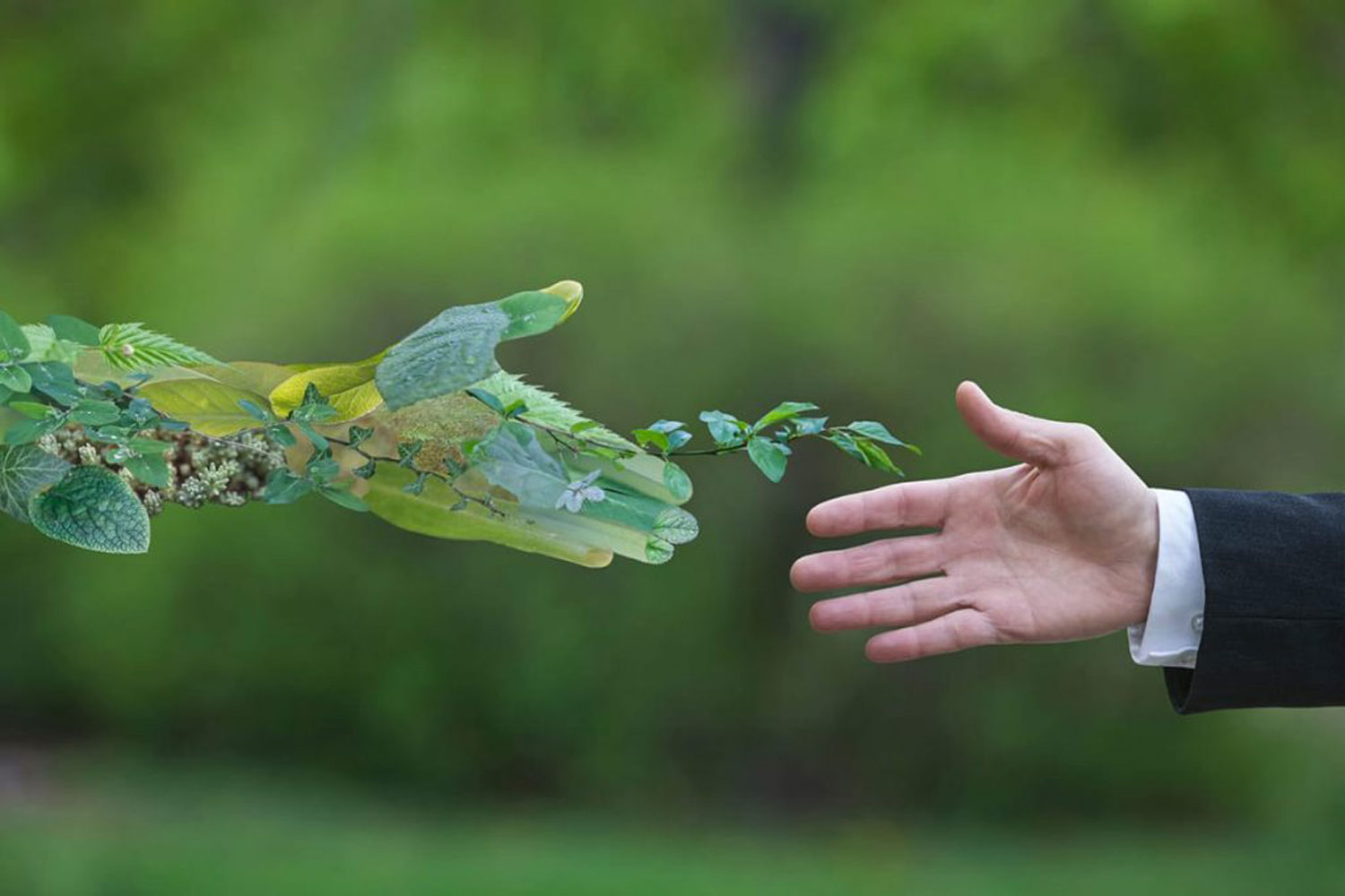 Blog - Green Job - Il cambiamento climatico